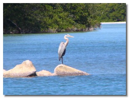 Florida 2006 (20)